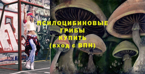 дмт Горно-Алтайск