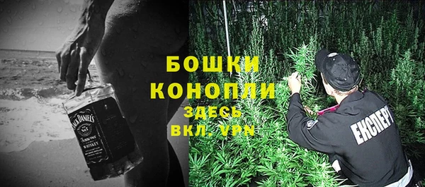 шишки Горнозаводск
