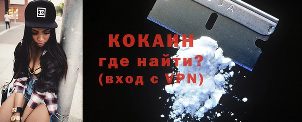 шишки Горнозаводск