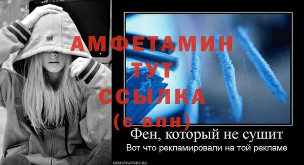 шишки Горнозаводск