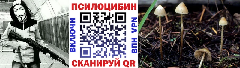 Галлюциногенные грибы Cubensis  Гуково 