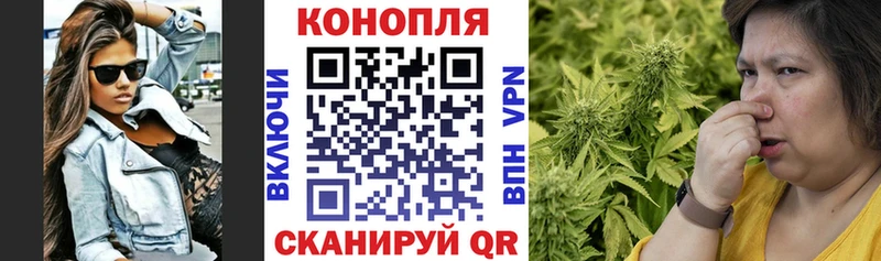 как найти закладки  Гуково  Бошки марихуана гибрид 